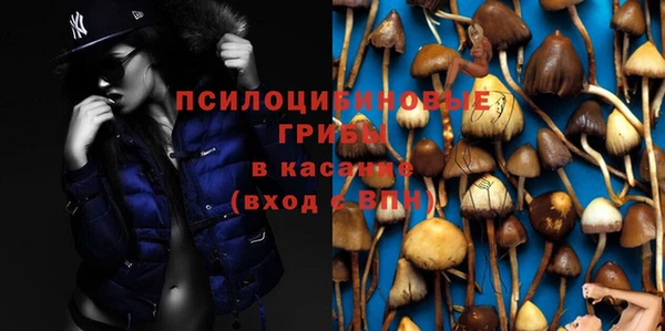 MESCALINE Иннополис
