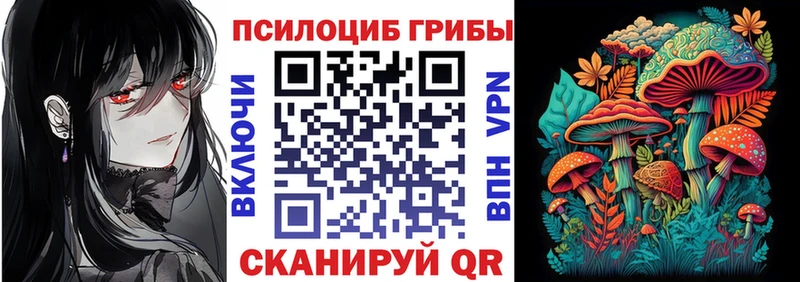 Купить закладки  Лесосибирск  Псилоцибиновые грибы Psilocybe 